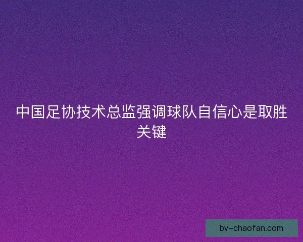 中国足协技术总监强调球队自信心是取胜关键
